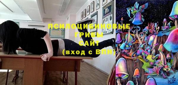 спиды Богданович