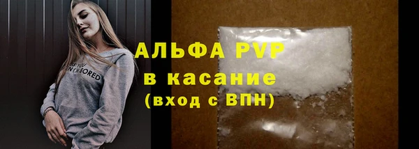 PSILOCYBIN Верея