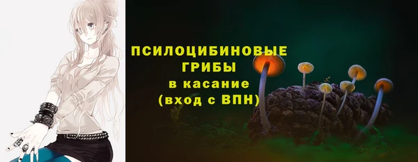 спиды Богданович